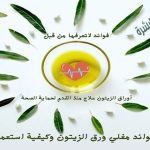 فوائد مغلي ورق الزيتون وكيفية استعماله للصحة والجمال
