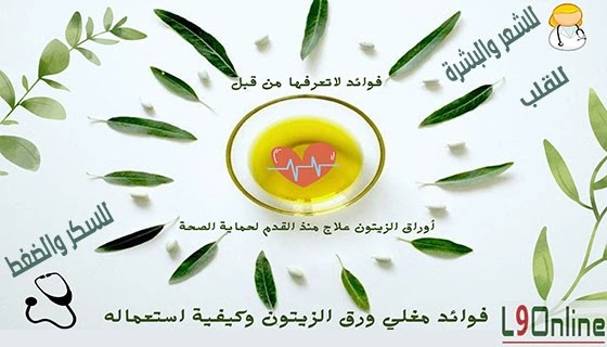 فوائد مغلي ورق الزيتون وكيفية استعماله للصحة والجمال