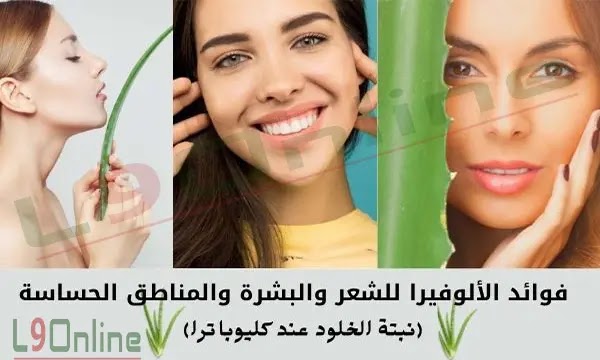 فوائد الألوفيرا للشعر والبشرة والمناطق الحساسة.