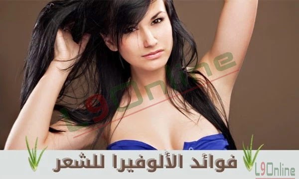 فوائد الالوفيرا للشعر وطريقة استخدامها دون مخاطر